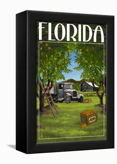 Florida - Orange Grove with Truck-Lantern Press-Framed Stretched Canvas