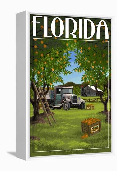 Florida - Orange Grove with Truck-Lantern Press-Framed Stretched Canvas