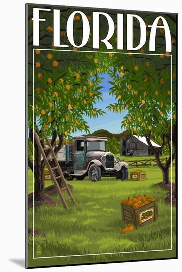 Florida - Orange Grove with Truck-Lantern Press-Mounted Art Print