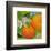 Florida Oranges-null-Framed Art Print