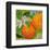 Florida Oranges-null-Framed Art Print