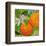 Florida Oranges-null-Framed Art Print