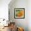 Florida Oranges-Elizabeth St. Hilaire-Framed Art Print displayed on a wall