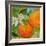 Florida Oranges-Elizabeth St. Hilaire-Framed Art Print