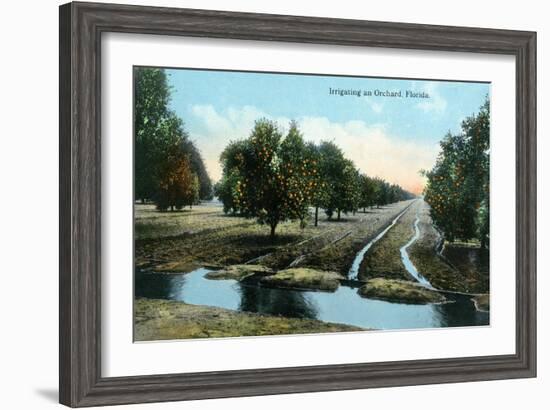 Florida - Orchard Irrigation Scene-Lantern Press-Framed Art Print