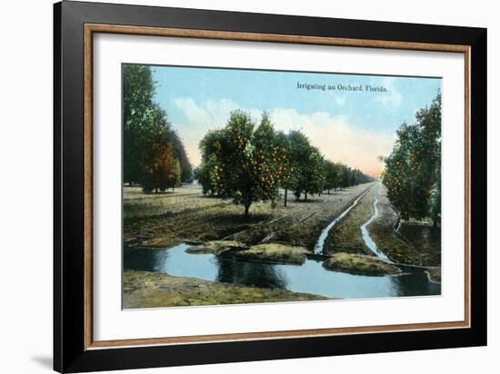 Florida - Orchard Irrigation Scene-Lantern Press-Framed Art Print