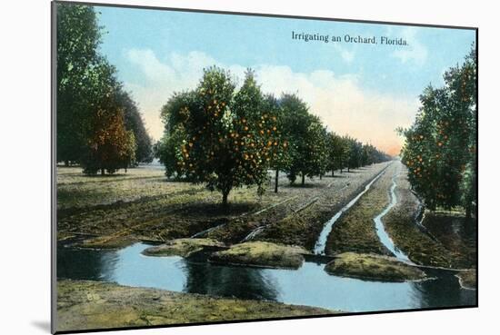 Florida - Orchard Irrigation Scene-Lantern Press-Mounted Art Print