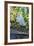 Florida, Orlando, Egret and Alligator-Jim Engelbrecht-Framed Photographic Print