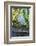 Florida, Orlando, Egret and Alligator-Jim Engelbrecht-Framed Photographic Print