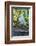 Florida, Orlando, Egret and Alligator-Jim Engelbrecht-Framed Photographic Print