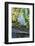 Florida, Orlando, Egret and Alligator-Jim Engelbrecht-Framed Photographic Print