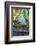 Florida, Orlando, Egret and Alligator-Jim Engelbrecht-Framed Photographic Print