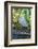 Florida, Orlando, Egret and Alligator-Jim Engelbrecht-Framed Photographic Print