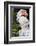 Florida, Orlando, Gatorland, Citron Cockatoo-Jim Engelbrecht-Framed Photographic Print