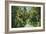 Florida - Overgrown Vegetation Scene-Lantern Press-Framed Art Print