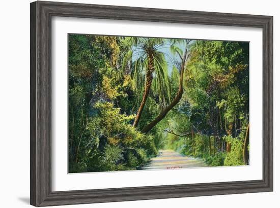 Florida - Overgrown Vegetation Scene-Lantern Press-Framed Art Print