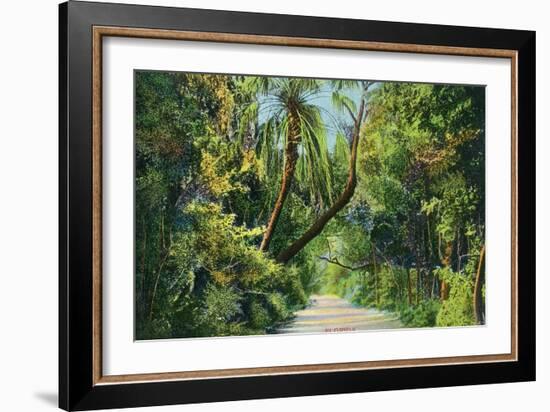 Florida - Overgrown Vegetation Scene-Lantern Press-Framed Art Print