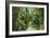 Florida - Overgrown Vegetation Scene-Lantern Press-Framed Art Print