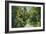 Florida - Overgrown Vegetation Scene-Lantern Press-Framed Art Print