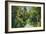 Florida - Overgrown Vegetation Scene-Lantern Press-Framed Art Print