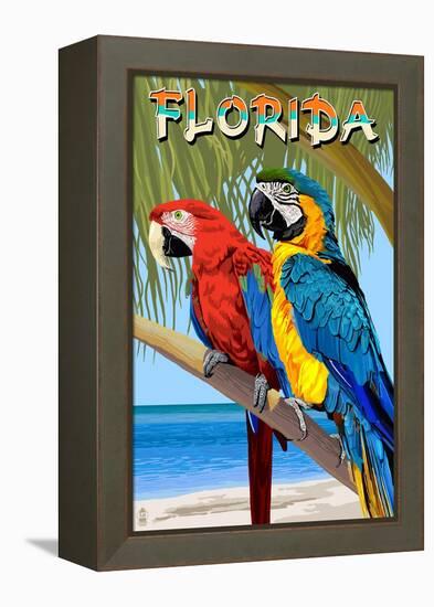 Florida - Parrots-Lantern Press-Framed Stretched Canvas