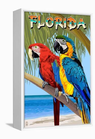 Florida - Parrots-Lantern Press-Framed Stretched Canvas