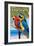 Florida - Parrots-Lantern Press-Framed Art Print