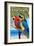 Florida - Parrots-Lantern Press-Framed Art Print