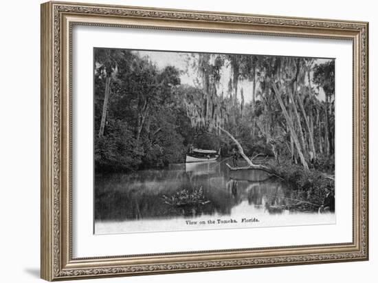 Florida - Riverboat on the Tomoka River-Lantern Press-Framed Art Print