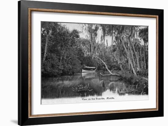 Florida - Riverboat on the Tomoka River-Lantern Press-Framed Art Print