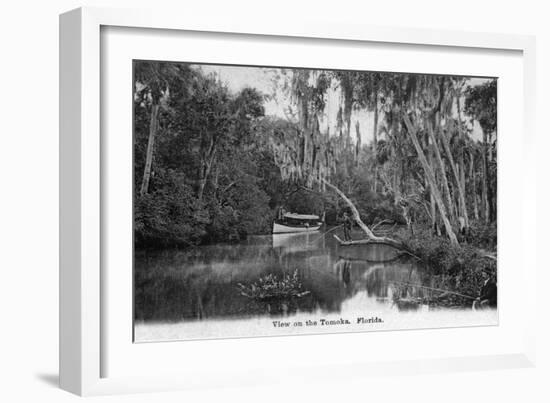 Florida - Riverboat on the Tomoka River-Lantern Press-Framed Art Print