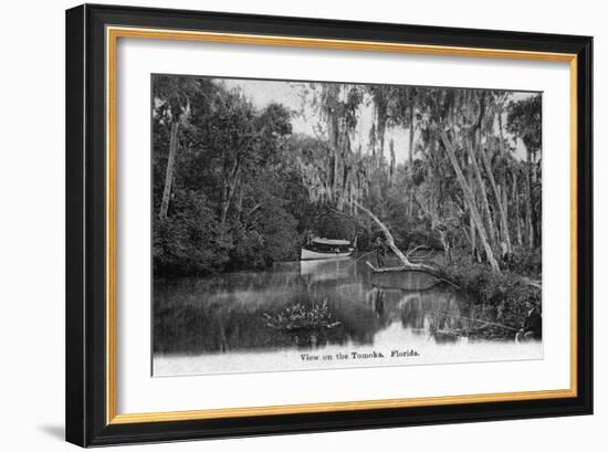 Florida - Riverboat on the Tomoka River-Lantern Press-Framed Art Print