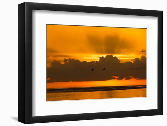 Florida Scenic-Lynn M^ Stone-Framed Photographic Print