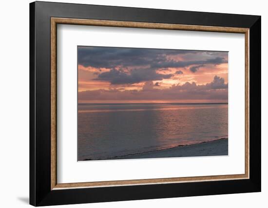 Florida Scenic-Lynn M^ Stone-Framed Photographic Print