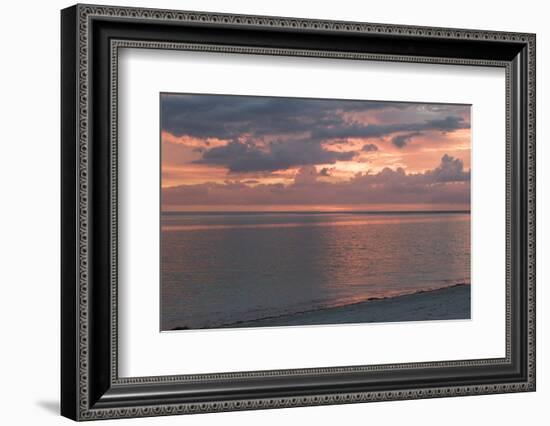 Florida Scenic-Lynn M^ Stone-Framed Photographic Print