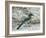 Florida Scrub Jay-JerryD-Framed Photographic Print