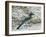 Florida Scrub Jay-JerryD-Framed Photographic Print