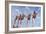 Florida State Cheerleaders, 2002-Joe Heaps Nelson-Framed Giclee Print