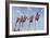 Florida State Cheerleaders, 2002-Joe Heaps Nelson-Framed Giclee Print