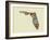 Florida State Map-Lanre Adefioye-Framed Giclee Print