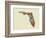 Florida State Map-Lanre Adefioye-Framed Giclee Print