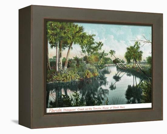 Florida - Thompson's Creek on Tomoka River-Lantern Press-Framed Stretched Canvas