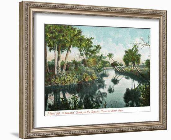 Florida - Thompson's Creek on Tomoka River-Lantern Press-Framed Art Print