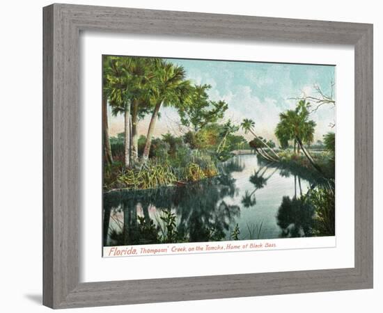 Florida - Thompson's Creek on Tomoka River-Lantern Press-Framed Art Print