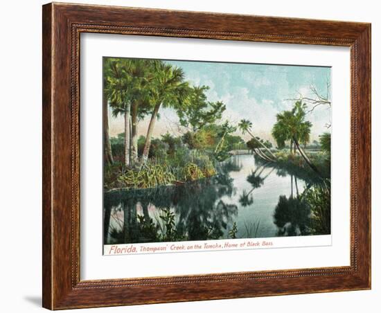 Florida - Thompson's Creek on Tomoka River-Lantern Press-Framed Art Print