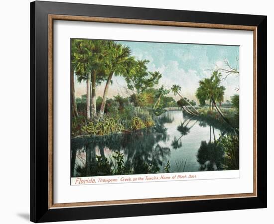 Florida - Thompson's Creek on Tomoka River-Lantern Press-Framed Art Print