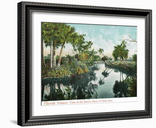 Florida - Thompson's Creek on Tomoka River-Lantern Press-Framed Art Print