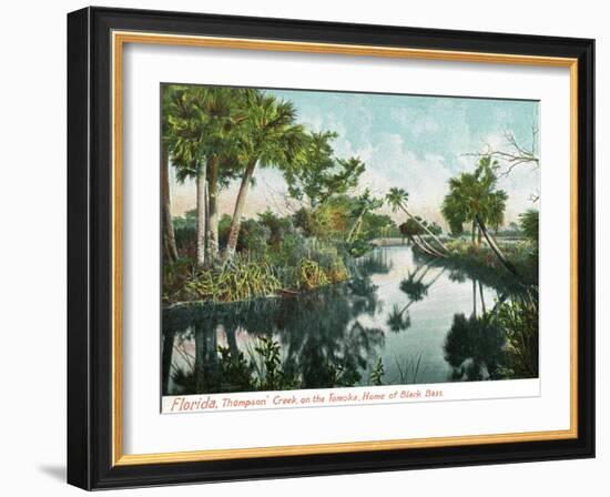 Florida - Thompson's Creek on Tomoka River-Lantern Press-Framed Art Print