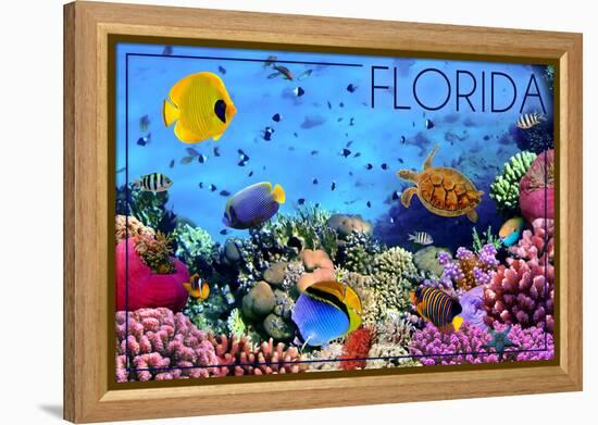 Florida - Underwater Coral-Lantern Press-Framed Stretched Canvas