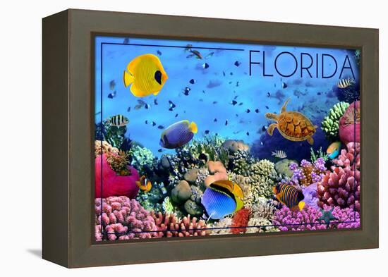 Florida - Underwater Coral-Lantern Press-Framed Stretched Canvas